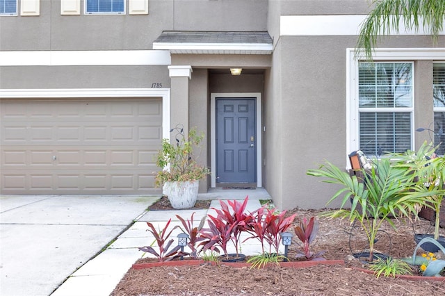 view of exterior entry featuring concrete driveway and stucco siding