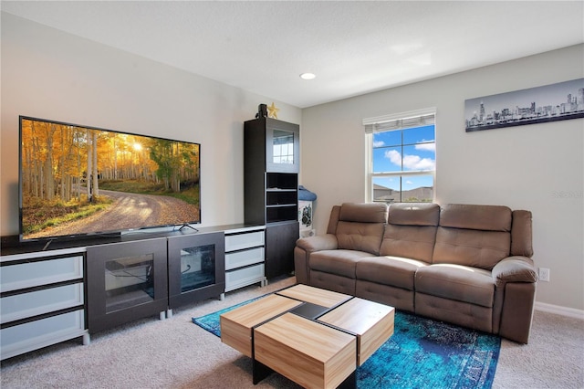 living area featuring baseboards and carpet floors