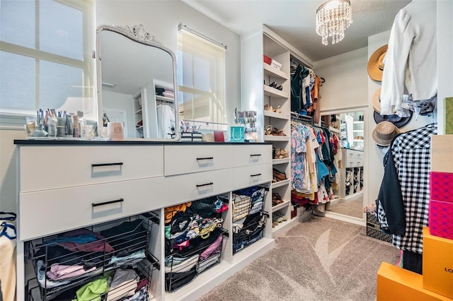 walk in closet featuring an inviting chandelier and carpet floors