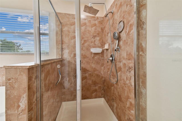 bathroom featuring a shower stall