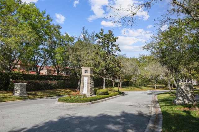 14542 Mirabelle Vista Cir, Tampa, FL 33626 - photo 70