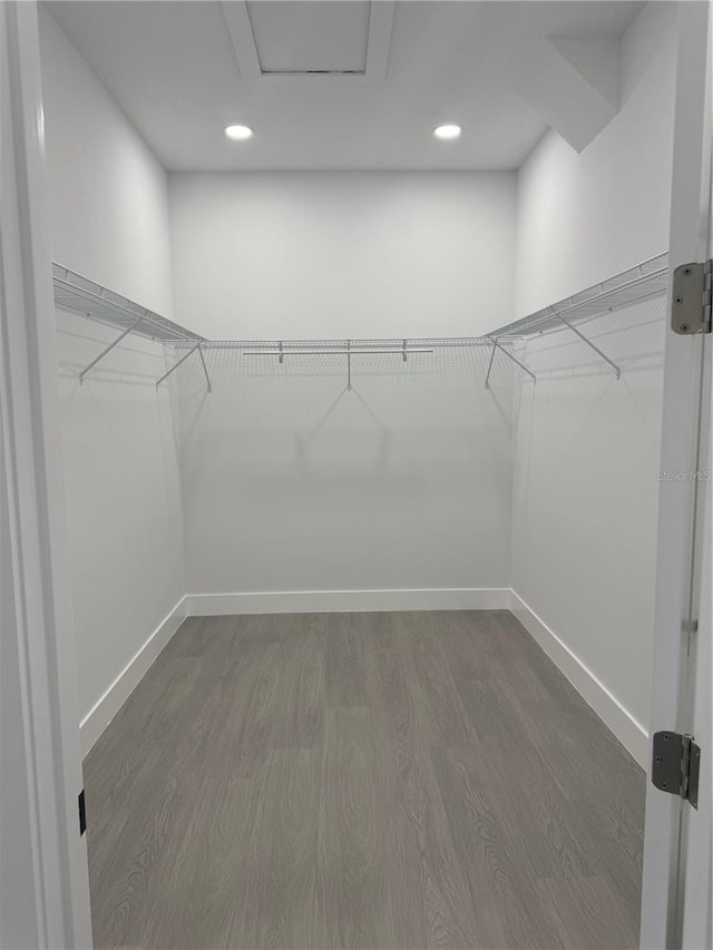 spacious closet with attic access and dark wood-style flooring