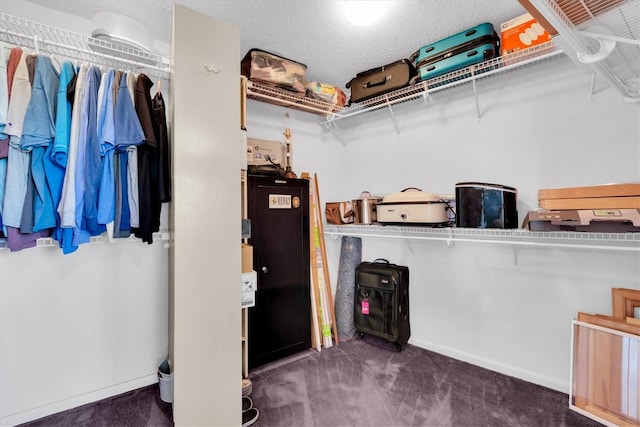 spacious closet with carpet floors