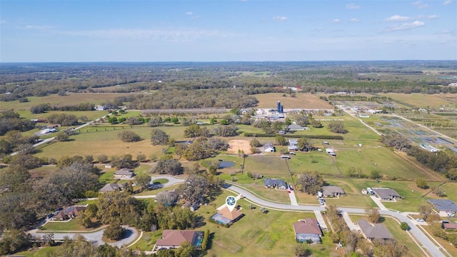 bird's eye view