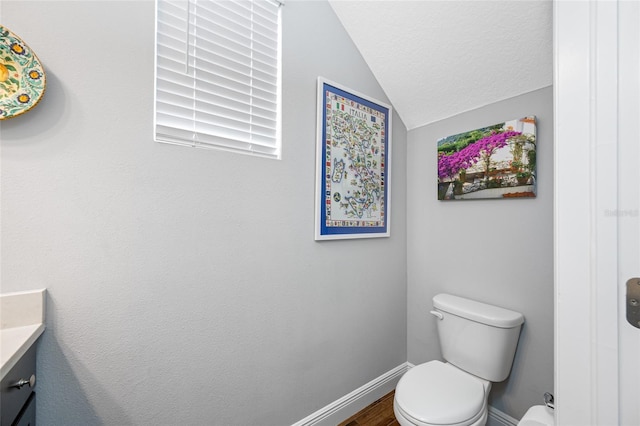 bathroom with vanity, wood finished floors, baseboards, lofted ceiling, and toilet