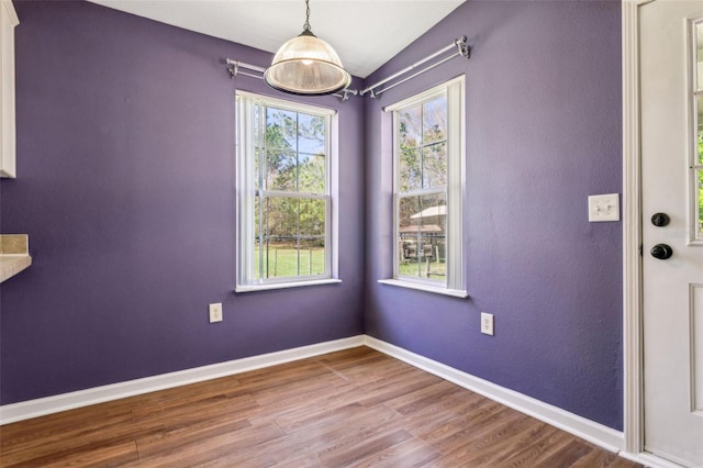 unfurnished dining area with baseboards, plenty of natural light, and wood finished floors