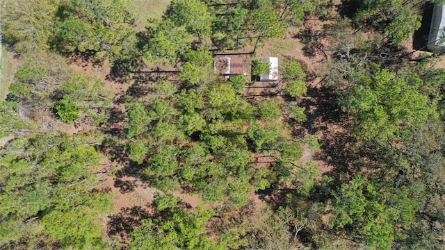 aerial view with a forest view