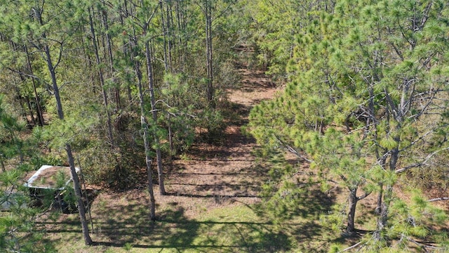 view of nature featuring a wooded view