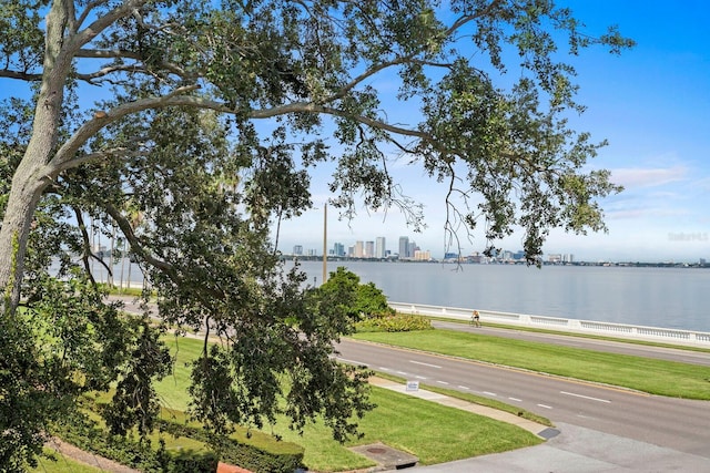 property view of water featuring a view of city