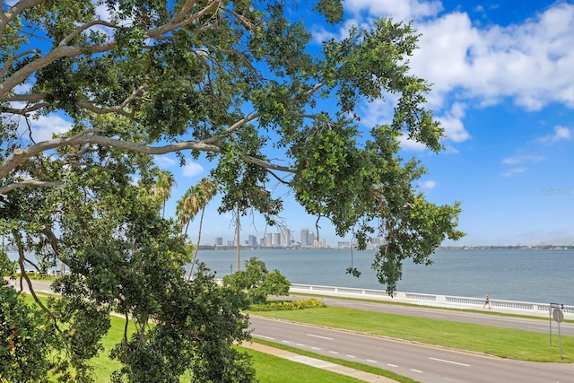 3801 Bayshore Blvd, Tampa, FL 33611 - photo 40