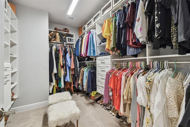 spacious closet featuring visible vents and carpet floors