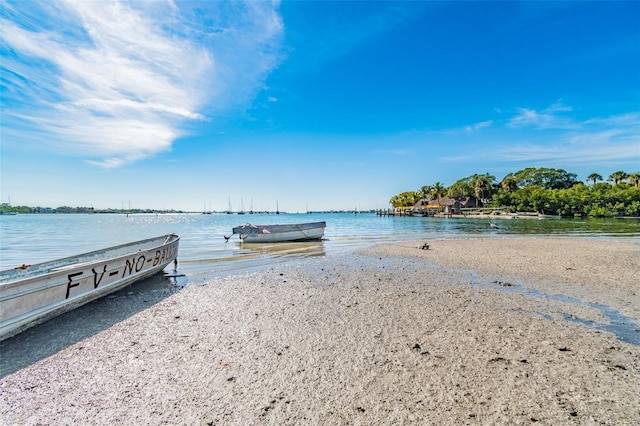 property view of water