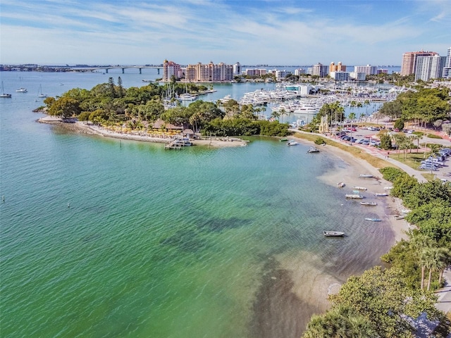 drone / aerial view featuring a water view and a city view