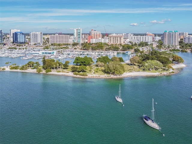 property view of water featuring a city view