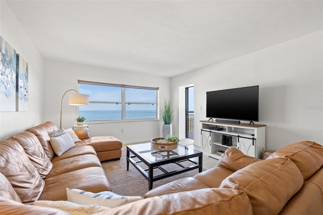 living room featuring baseboards