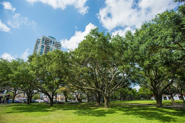 view of community featuring a lawn