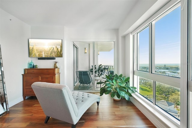 living area with a wealth of natural light, baseboards, and wood finished floors