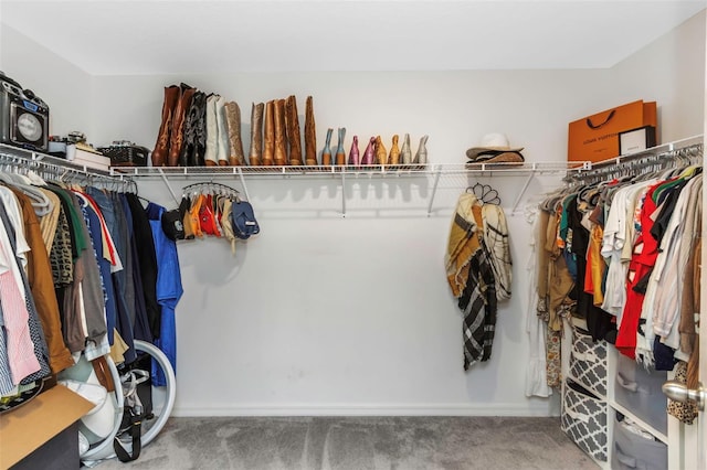 walk in closet with carpet floors