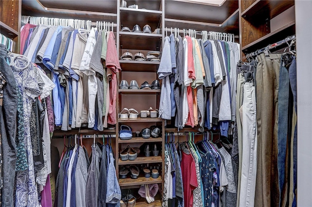 view of walk in closet