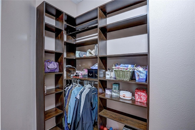 view of spacious closet