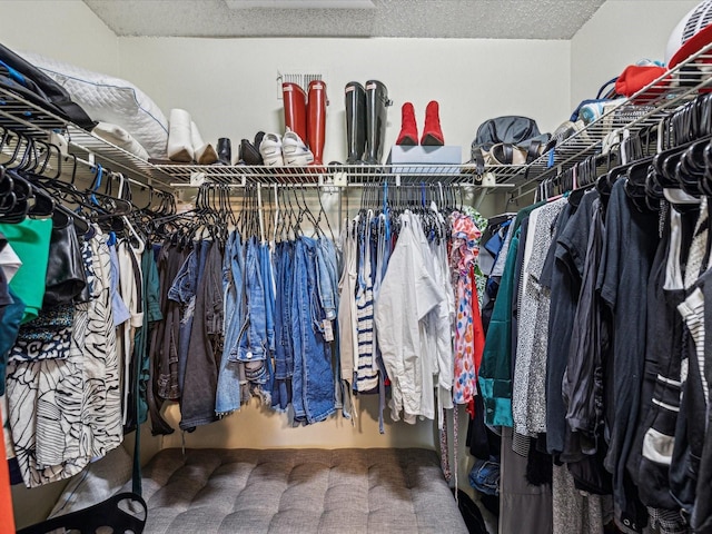 view of spacious closet