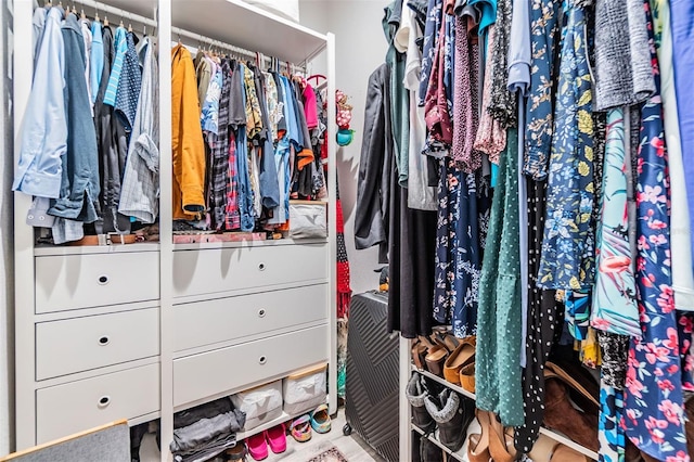 view of spacious closet