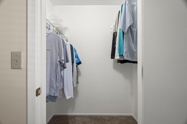 spacious closet featuring carpet floors