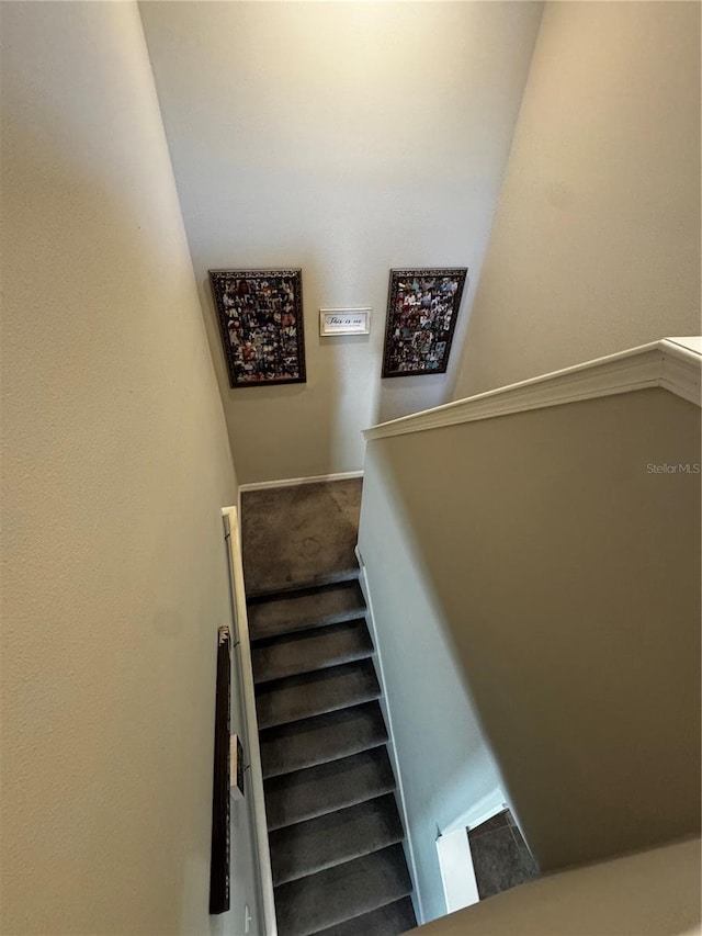 stairway featuring carpet floors and baseboards