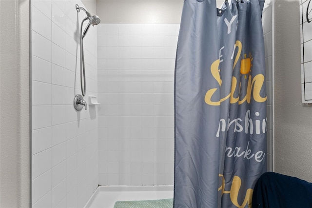 14618 Scottburgh Glen Dr, Wimauma, FL 33598 - full bathroom featuring tiled shower