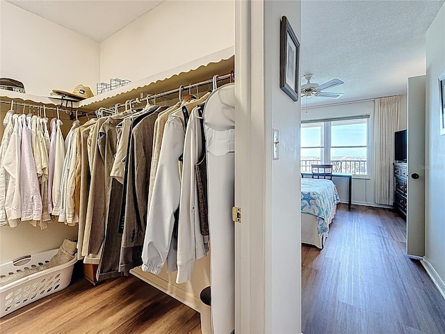 walk in closet featuring wood finished floors and ceiling fan