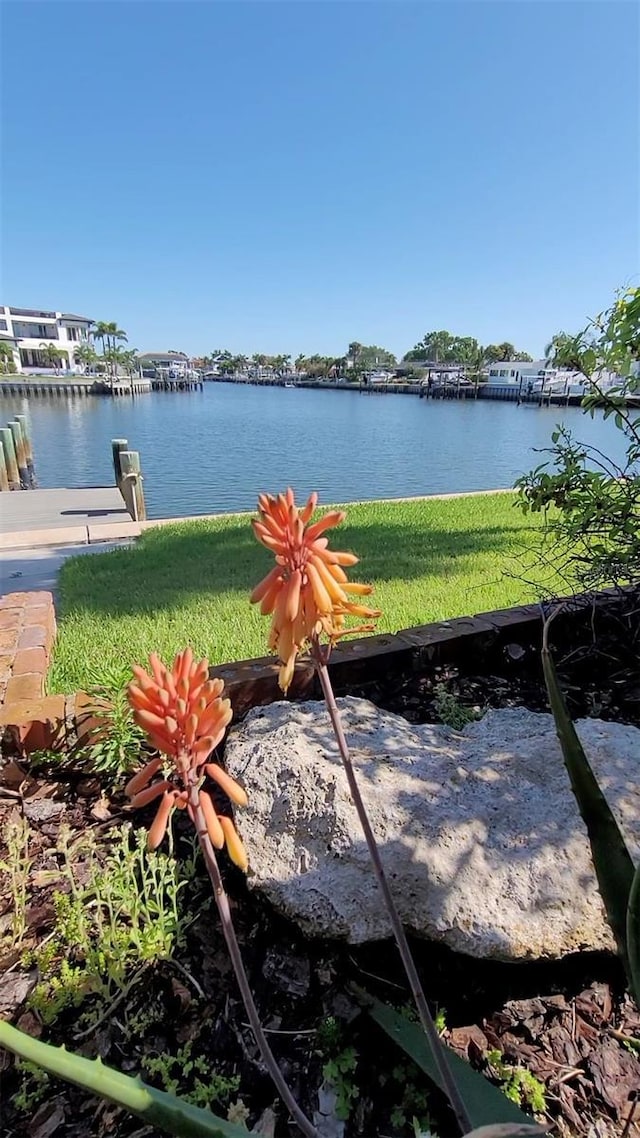 3906 Versailles Dr, Tampa, FL 33634 - photo 8