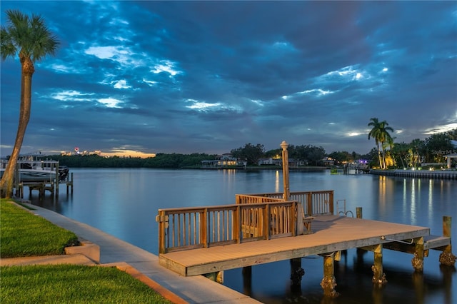 dock area with a water view