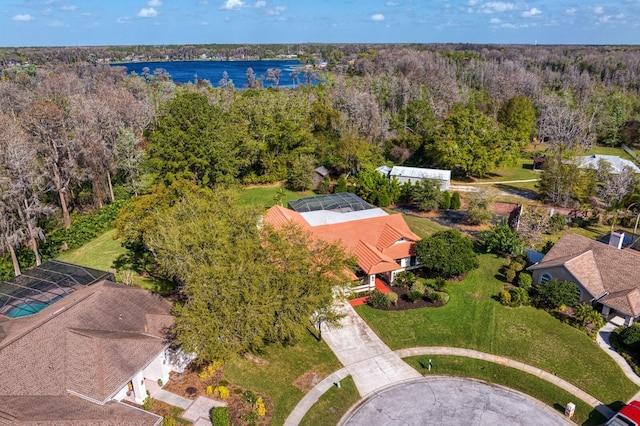 drone / aerial view with a water view and a view of trees