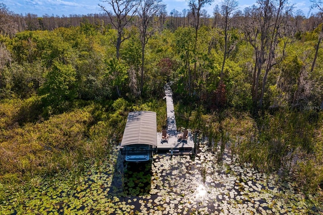 birds eye view of property with a view of trees