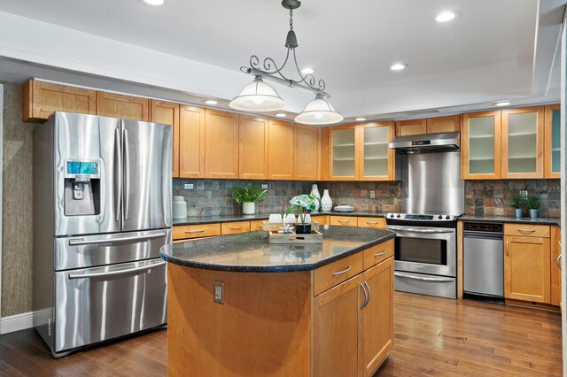 kitchen with dark wood-style floors, a center island, a tray ceiling, stainless steel appliances, and under cabinet range hood