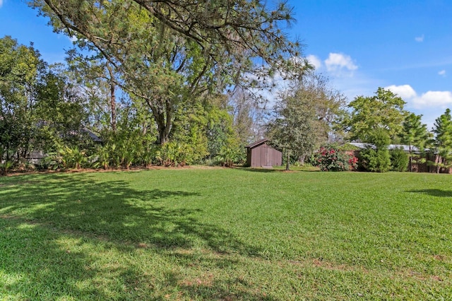 view of yard featuring a shed and an outbuilding