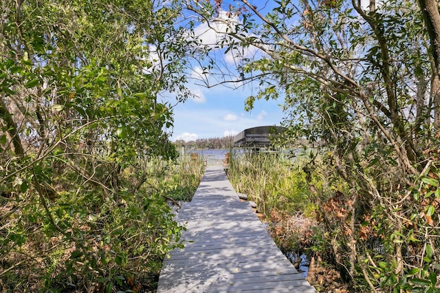 view of property's community with a boat dock