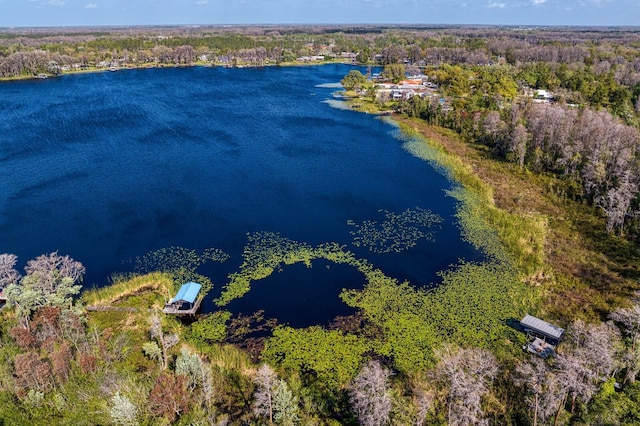 drone / aerial view with a forest view and a water view