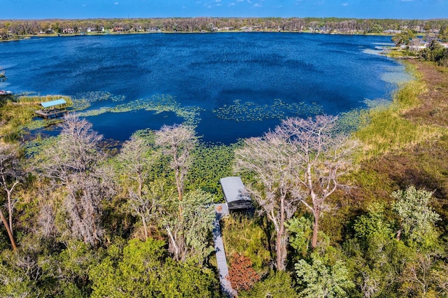 property view of water with a forest view