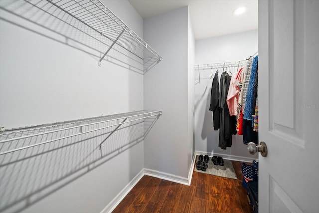 walk in closet with wood finished floors