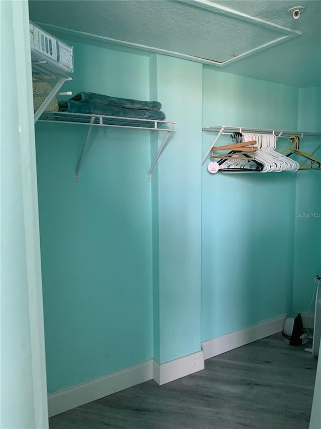 spacious closet featuring wood finished floors