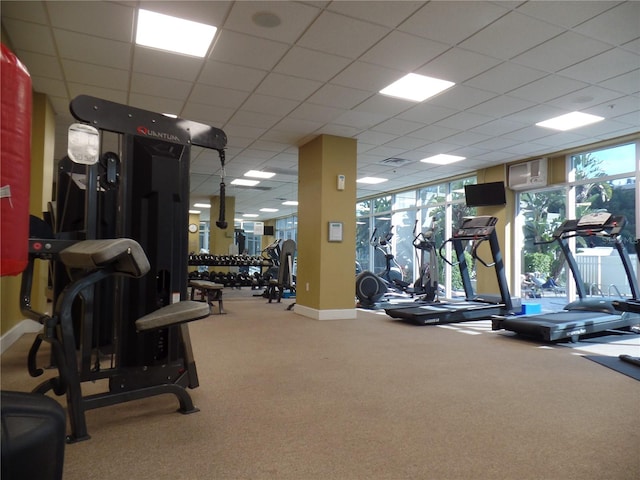 gym with carpet, visible vents, a drop ceiling, and baseboards