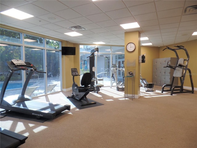 gym featuring baseboards, floor to ceiling windows, visible vents, and carpet flooring