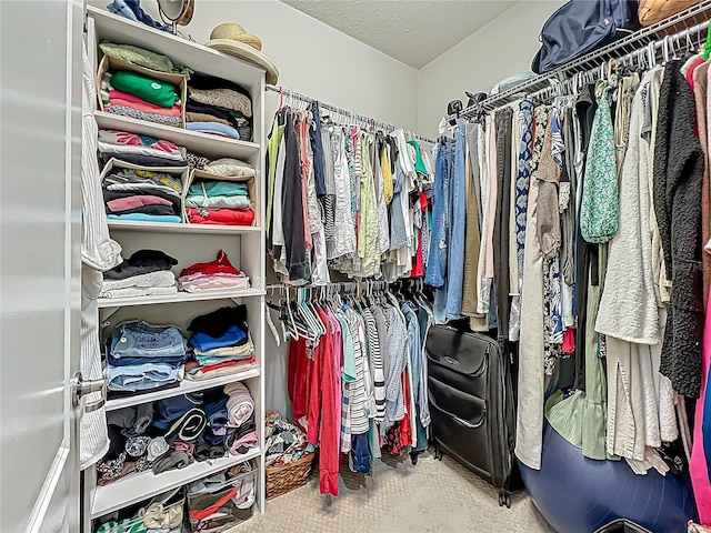 view of spacious closet