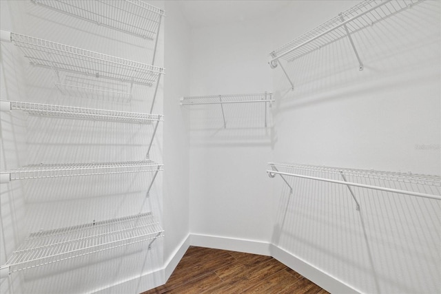 spacious closet with wood finished floors