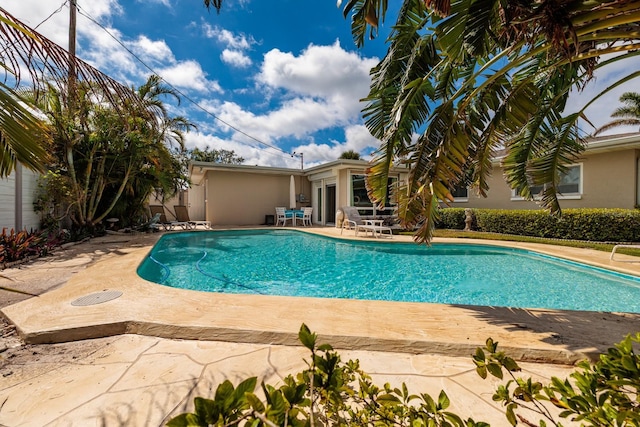 2340 W Bay Isle Dr SE, Saint Petersburg, FL 33705 - outdoor pool with a patio area