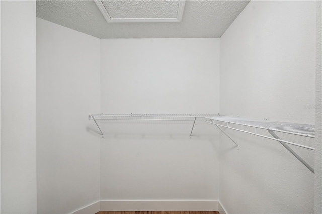 walk in closet featuring wood finished floors