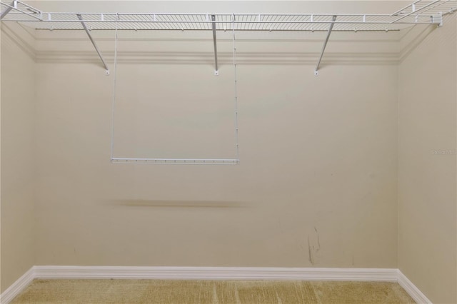 16232 Amethyst Key Dr, Wimauma, FL 33598 - spacious closet featuring carpet flooring