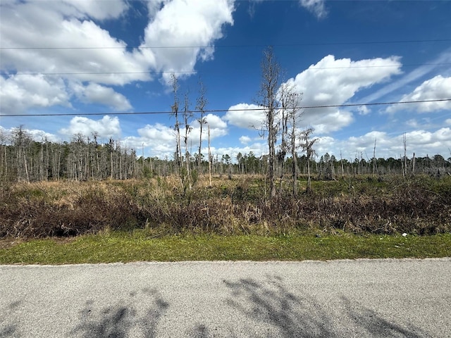 Green Willow Run Lot 745, Wesley Chapel FL, 33544 land for sale