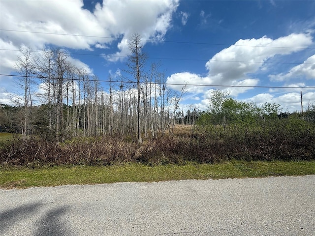 Listing photo 2 for Green Willow Run Lot 745, Wesley Chapel FL 33544